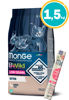 Imagen de MONGE Cat BWild Low Grain KITTEN 1.5KG + Regalo a elección