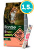 Imagen de MONGE Cat BWild Grain Free Adult Salmon1,5 kg + Regalo a elección