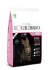 Imagen de EQUILIBRIO Gatito 1,5 kg +  Salsa