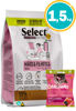 Imagen de SELECT Gatitos y Madres lactantes 1.5KG + Snack