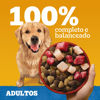 Imagen de PEDIGREE Perro Adulto Carne, Pollo y Cereales 21+1.5KG