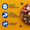 Imagen de PEDIGREE Perro Adulto Carne, Pollo y Cereales 21+1.5KG