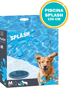 Imagen de PISCINA SPLASH PARA MASCOTA 150CM