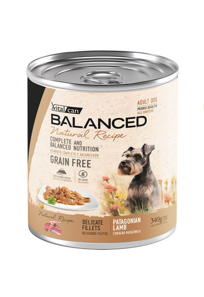 Imagen de Salsa NATURAL RECIPE Filetes de Cordero perro adulto - 340G