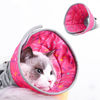Imagen de Collar Isabelino gatos acolchonado L