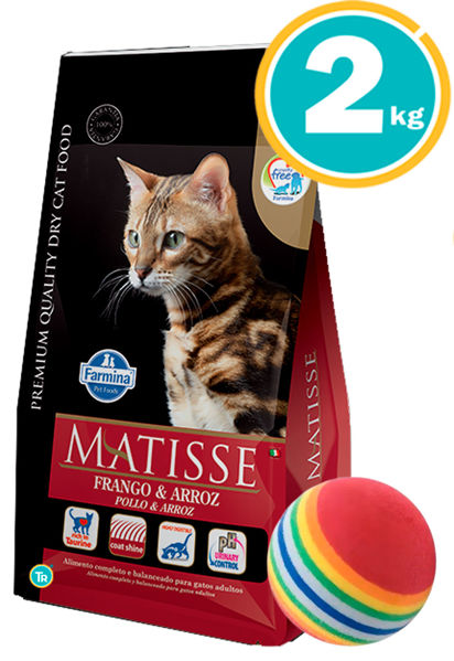 Imagen de MATISSE Frango y Arroz 2Kg + Pelota