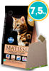 Imagen de MATISSE Alimento Gato Castrado Salmón 7,5 kg