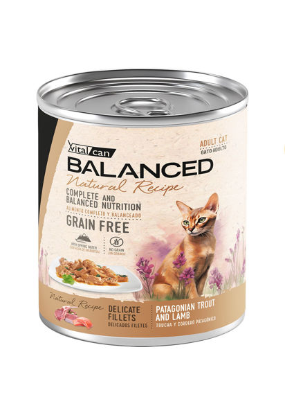 Imagen de Salsa NATURAL RECIPE Filetes de trucha y cordero gato adulto - 340g