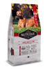 Imagen de NUTRIQUE DOG SENIOR LARGE 3KG (+6)