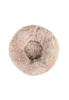Imagen de Cama Soft para Mascotas -  60cm