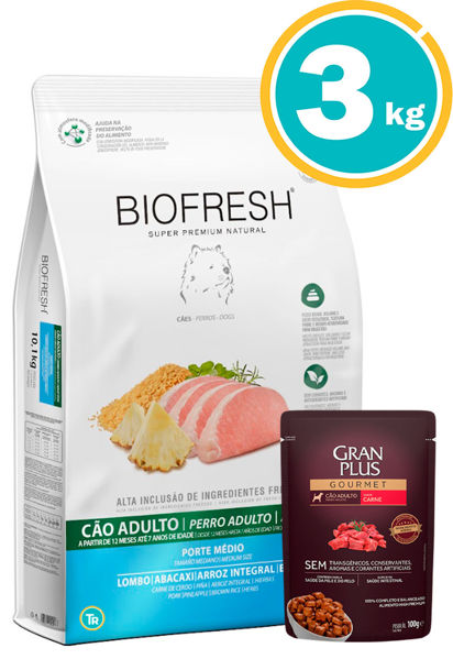 Imagen de BIOFRESH ADULTO RAZAS MEDIAS CERDO Y ANANÁ 3KG + Salsa Gran Plus
