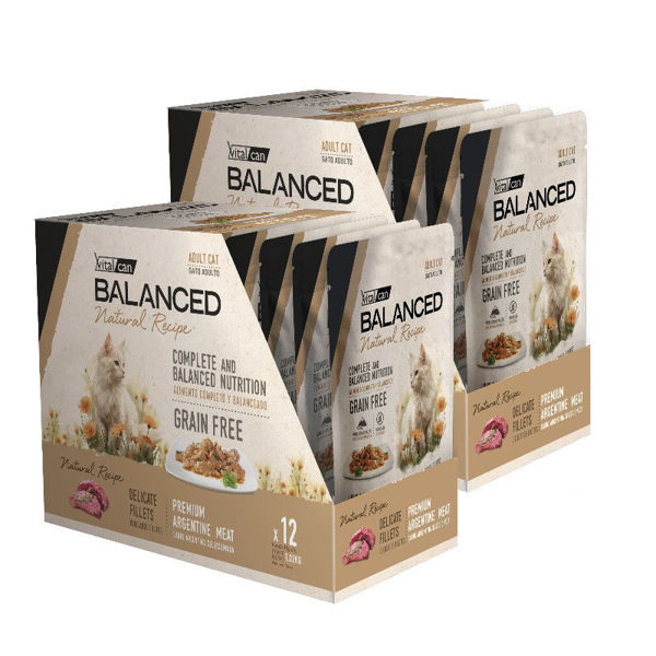 Imagen de Salsa BALANCED Gato adulto CARNE 85gr - 24 unidades