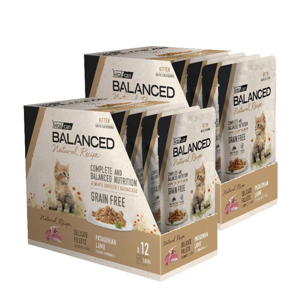 Imagen de Salsa BALANCED Gato cachorro CORDERO 85gr - 24 unidades