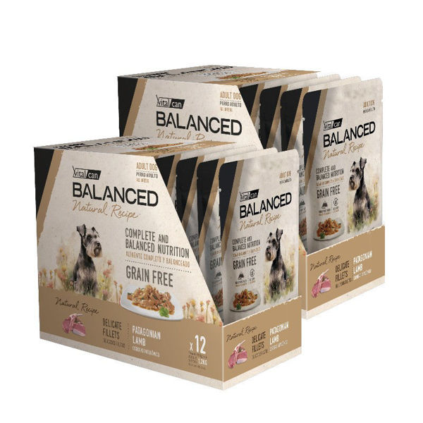 Imagen de Salsa BALANCED Perro adulto CORDERO 100gr - 24 unidades
