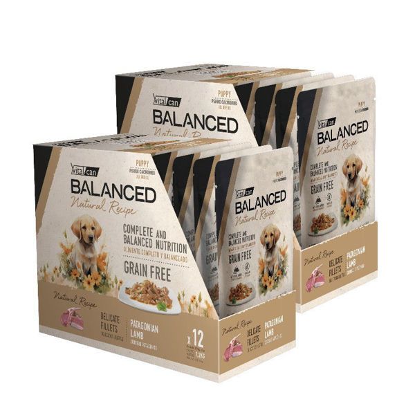 Imagen de SALSA BALANCED PERRO PUPPIE FILETES CORDERO 100 GR