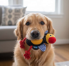 Imagen de JUGUETE PELUCHE PAJARO DODO CUERDA (FFP23396)