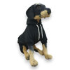 Imagen de Buzo para Perros con Capucha Negro 38cm - Pepito