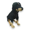 Imagen de Buzo para Perros con Capucha Negro 38cm - Pepito