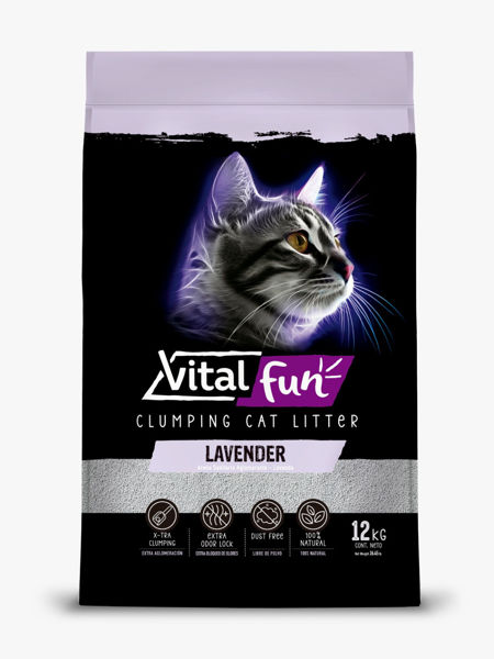Imagen de SANITARIO AGLOM. VITALFUN LAVANDA 12KG